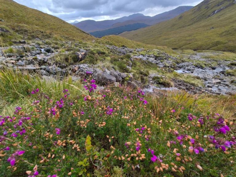 Western Highlands_Astrid2